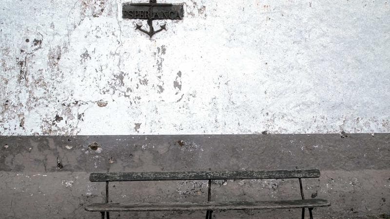 Investors look through the turmoil 