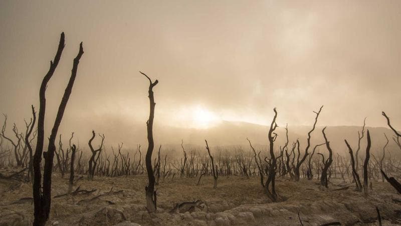 Lutnick tells Canada ‘they suck’ and vows to wind back trade deal with US