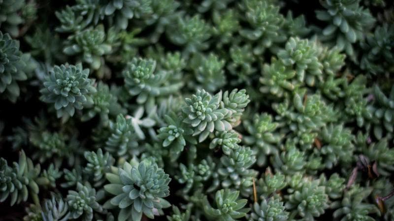 The mix of chaotic politics and a resilient economy can’t last