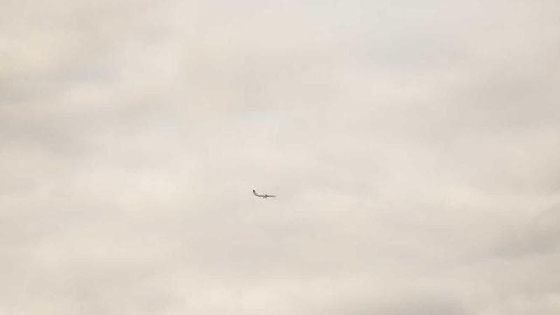 The white-collar defence lawyers with nothing to do