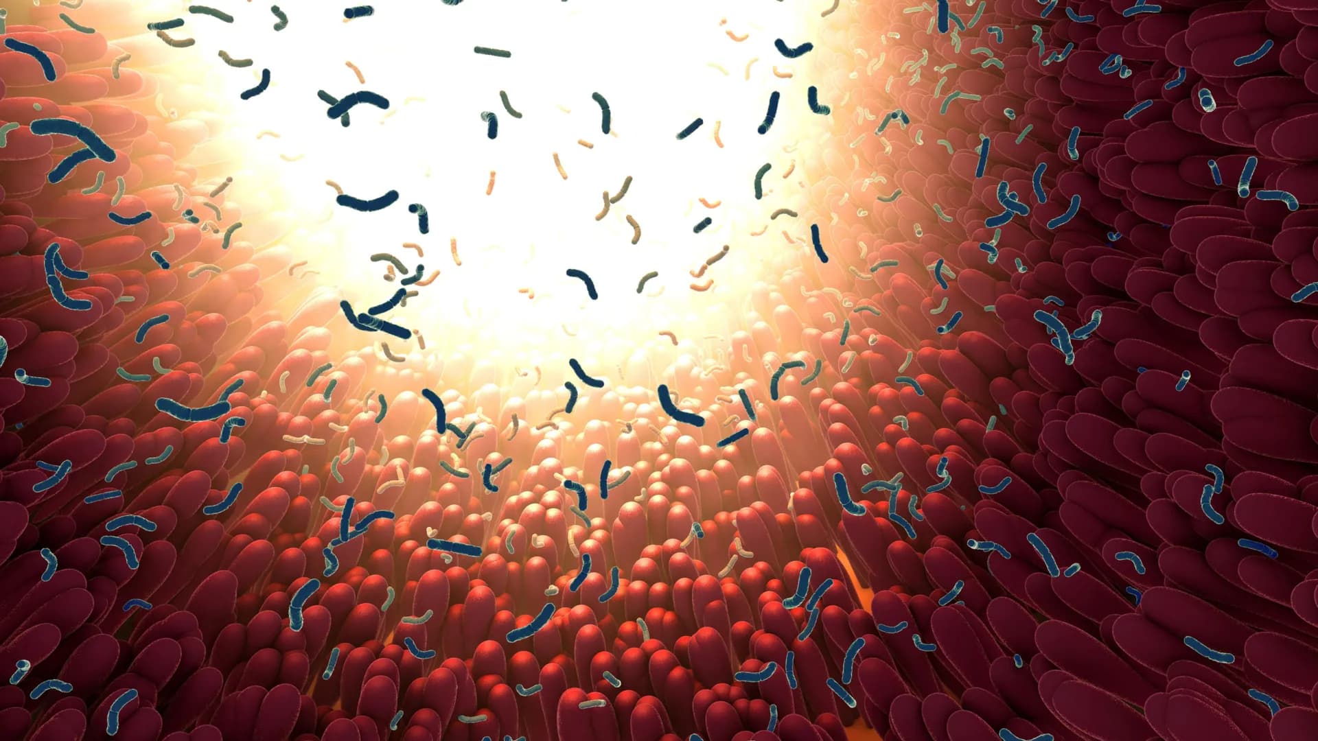 Scientists discover tiny gut particles that may drive aging and chronic disease