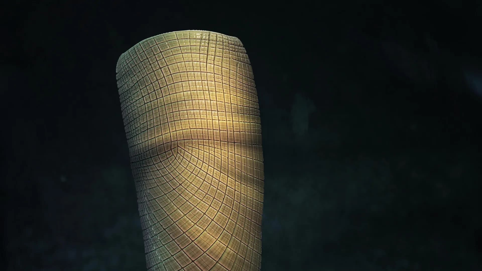 Scientists just solved a 160-million-year fossil mystery “I’ve never seen anything like it”