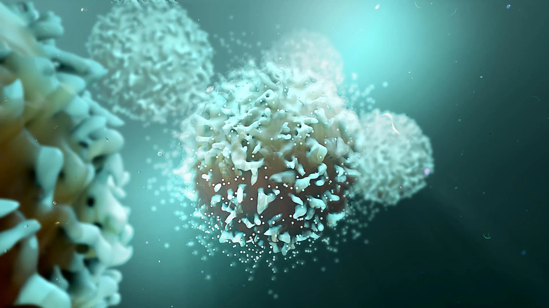 Blocking a single protein supercharges the immune system against cancer